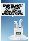 2025 Yeni Model Bluetooth Kulaklık Kablosuz TWS Yüksek Kaliteli ANC Özelliği