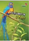 A Bird Landed On A Tree - Respect