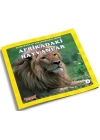 Afrikadaki Hayvanlar - Benim Hayvan Arkadaşlarım Dizisi 1