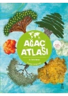 Ağaç Atlası- Dev Harita ve Çıkartma Hediyeli- Karton Kapak