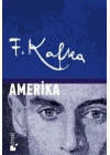 Amerika (Ciltli)
