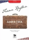 Amerika : Yitik Adam