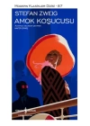 Amok Koşucusu - Modern Klasikler Dizisi (Şömizli)