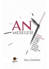 An Meselesi