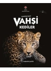AnadoluDaki Vahşi Kediler