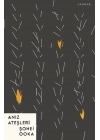 Anız Ateşleri