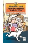 Anneannemin Konuk Kedisi