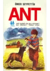 Ant
