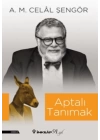 Aptalı Tanımak