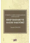 Arap Baharı ve Hatay Faktörü