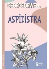 Aspidistra