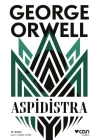 Aspidistra