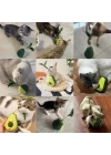 Avokado Şeklinde Kedi Naneli ve Mama Hazneli Kedi Oyuncağı