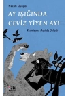 Ay Işığında Ceviz Yiyen Ayı