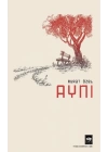 Aynı