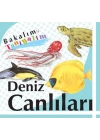 Bakalım Tanıyalım Deniz Canlıları (Ciltli)