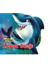 Ben Kimim? - Köpek Balığı