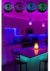 BFS 10 Metre Şerit Led