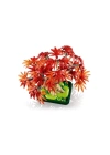 BFS  10348 Lego iconic Japon Akçaağaç Bonsai Ağacı 474 parça +18 yaş