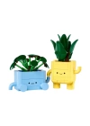 BFS  10349 Lego Botanicals Mutlu Bitkiler 217 parça +9 yaş