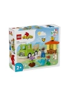 BFS  10419 LEGO® DUPLO® Arı Bakımı 22 parça +2 yaş