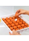 BFS  15liYumurta Saklama Kabı