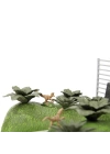 BFS   253252028 Jada Jurassic World Nano Scene
