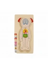 BFS  2917 SUN-Tahta Puzzle İnsan Vücudu