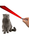 BFS   3 Fonksiyonlu Kırmızı Beyaz Işıklı Led Lazer Kedi Köpek Oyuncak Anahtarlık