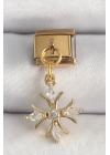 BFS 316L Çelik Gold Renk Sallantı Zirkon Taşlı Kar Tanesi Model Nomination Charm