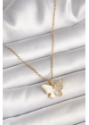 BFS 316L Çelik Gold Renk Zincir Zirkon Taşlı Beyaz Mineli Kelebek Model Kadın Kolye