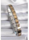 BFS 316L Çelik Gümüş Renk Gold Nomination Charm Bileklik
