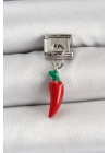 BFS 316L Çelik Gümüş Renk Kapya Biber Model Nomination Charm