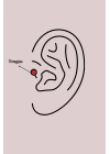 BFS 316L Çelik Gümüş Renk Renkli Zirkon Taşlı Yıldız Model Tragus Piercing