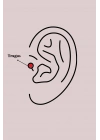 BFS 316L Çelik Gümüş Renk Zirkon Taşlı Kelebek Model Tragus Piercing