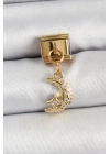 BFS 316L Çelik Sallantılı Zirkon Taşlı Ay Model Gold Renk Nomination Charm