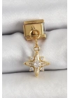 BFS 316L Çelik Sallantılı Zirkon Taşlı Kutup Yıldızı Model Gold Renk Nomination Charm