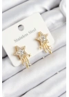 BFS 316L Çelik Zirkon Taşlı Kayan Yıldız Model Gold Renk Kadın Küpe