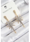 BFS 316L Çelik Zirkon Taşlı Pusula Yıldızı Model Gold Ve Gümüş Renk Kadın Küpe