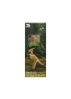 BFS   3563 Crazoo Dinozor Figürlü 3D Kazı Seti