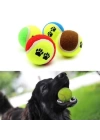 BFS   3lü Renkli Desenli Tenis Topu Kedi Köpek Oyuncağı