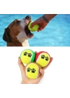 BFS   3lü Renkli Desenli Tenis Topu Kedi Köpek Oyuncağı