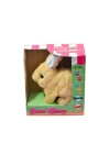 BFS  40098 Tavşan Peluş Pilli-Aya Toys