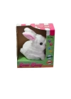 BFS  40098 Tavşan Peluş Pilli-Aya Toys