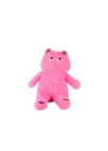 BFS  4905 Pembe Renk 55 cm Kedi