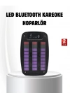 BFS 6.5” LED Işıklı GTS 1793 Bluetooth Hoparlör Güçlü Bass ve FM Destekli