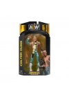 BFS AEW/0001-S16 AEW Karakterleri Model ANessiWorldiyon Figür 18cm