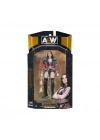 BFS AEW/0001-S16 AEW Karakterleri Model ANessiWorldiyon Figür 18cm