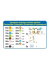 BFS   Aquabeads Hayvan Dostlar Seti EAB31915