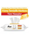 BFS    Arap Sabunu Katkılı Yüzey Temizlik Havlusu 100 Adet